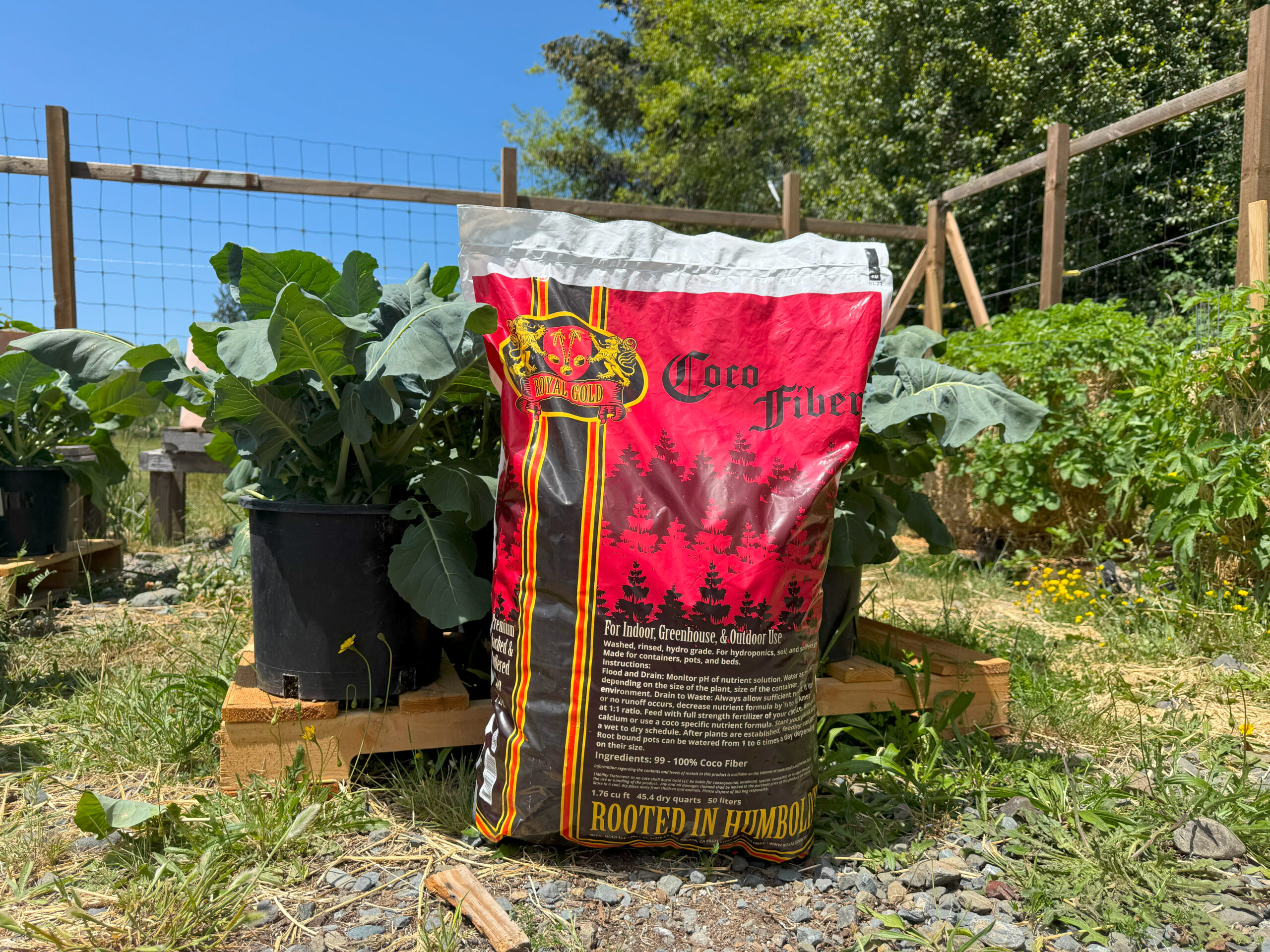 Royal Gold Coco Fiber in the garden