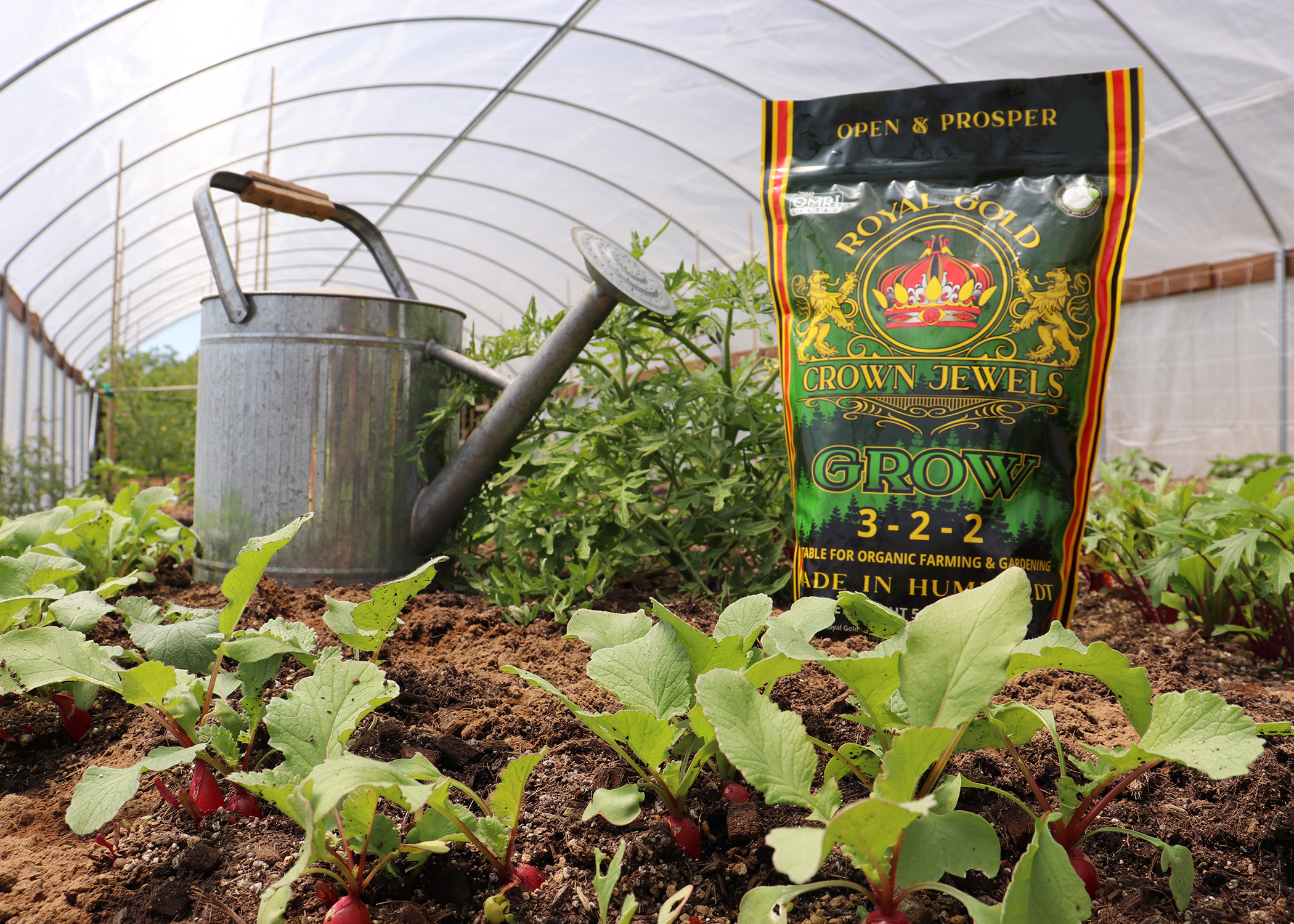 A bag of Royal Gold Crown Jewels Grow in a greenhouse.