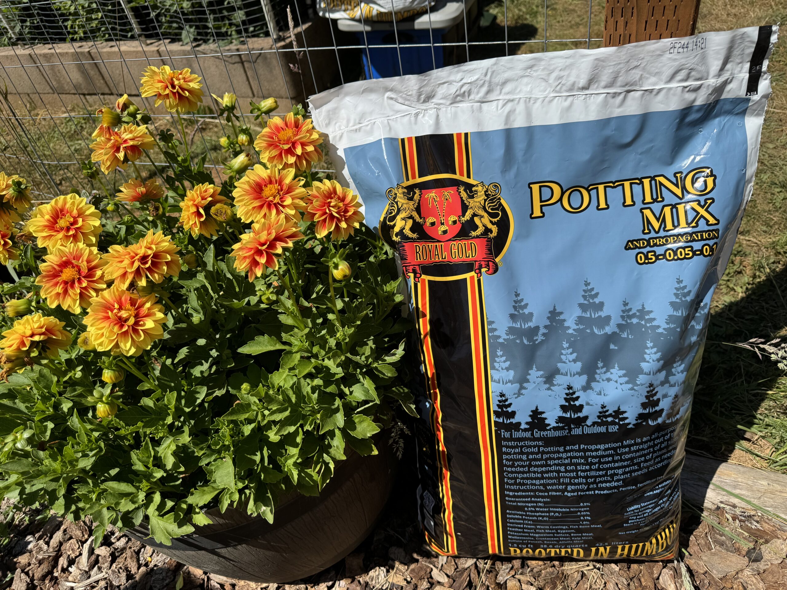 A bag of Royal Gold Potting & Propagation Mix in the garden.