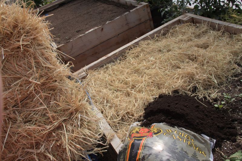 Two raised beds, one freshly topped with soil and one covered in straw mulch, with a pile of Royal Gold Worm Castings