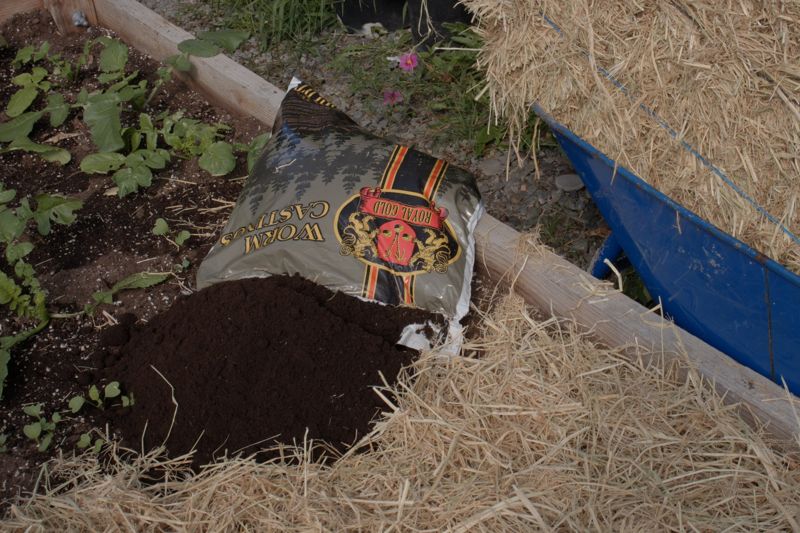 Royal Gold Worm Castings spilling from the bag onto a raised bed next to straw mulch